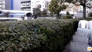 我吹过你吹过的晚风趁嫂子喝了酒偷偷舔她骚穴